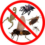 Biochemical, control de Plagas. 